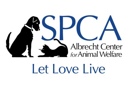 aiken spca|aiken animal shelter adoptable pets.